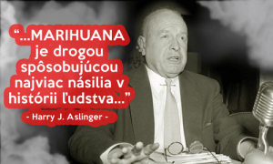 Harry J. Aslinger na verejnosti začal s propagandou mierenou na démonizáciu rastliny Marihuany.