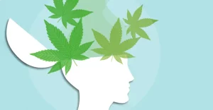 Ilustračný obrázok: marihuana a pamäť - z otvorenej hlavy vyletujú lístky konope