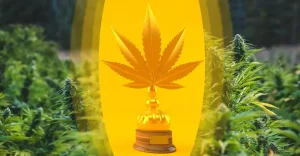 Marihuanové rekordy - ocenenie v tvare marihuanového listu na pozadí rastlín konope