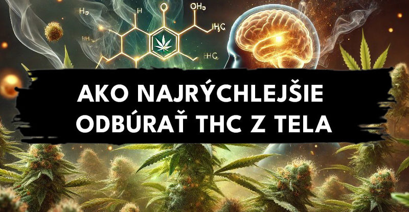 Ako-co-najrychlejsie-odburat-THC-z-mocu-a-slin